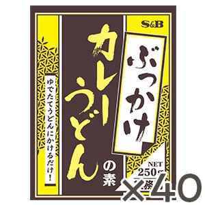 ぶっかけカレーうどんの素 ２５０ｇ×４０個（１ケース）