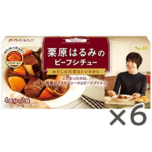 栗原はるみのビーフシチュー109g×6個