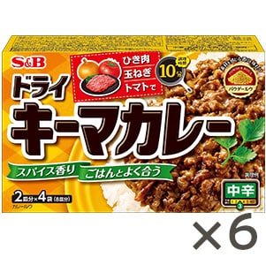 ドライキーマカレー　中辛　１００ｇ×６個