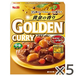 ゴールデンカレー　レトルト　中辛　２００ｇ×５個