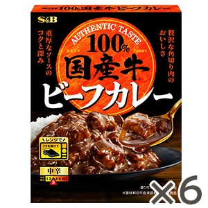 国産牛ビーフカレー　中辛　１７０ｇ×６個