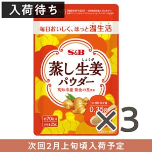 【入荷待ち】蒸し生姜パウダー２５ｇ×３個セット　送料無料