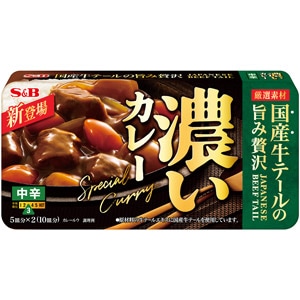 濃いカレー　中辛　１７２ｇ