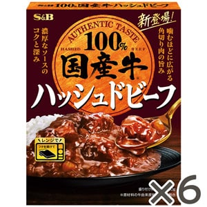 国産牛ハッシュドビーフ　１６０ｇ×６個セット