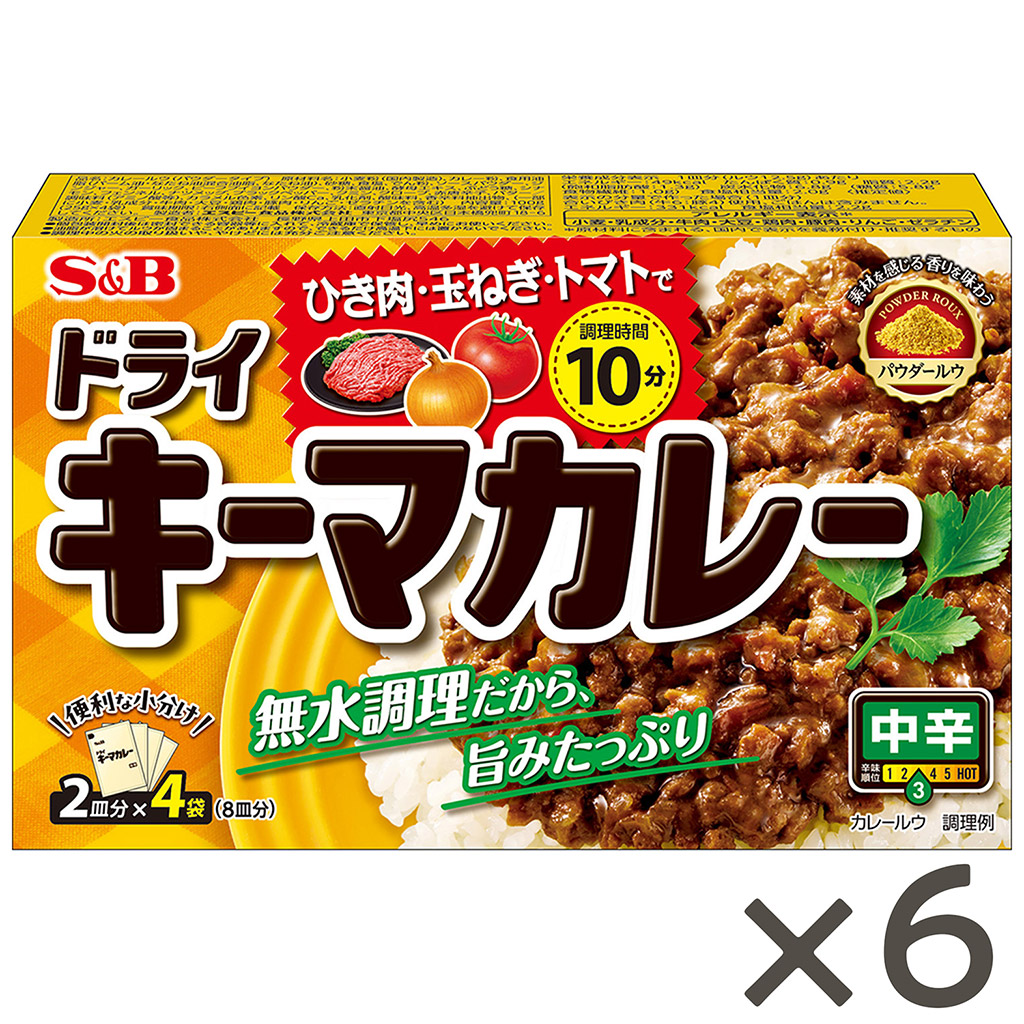ドライキーマカレー 中辛100g×6個セット