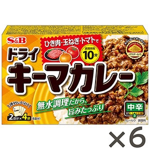 ドライキーマカレー　中辛１００ｇ×６個セット
