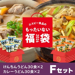 （けんちんうどん・カレーうどんセット）