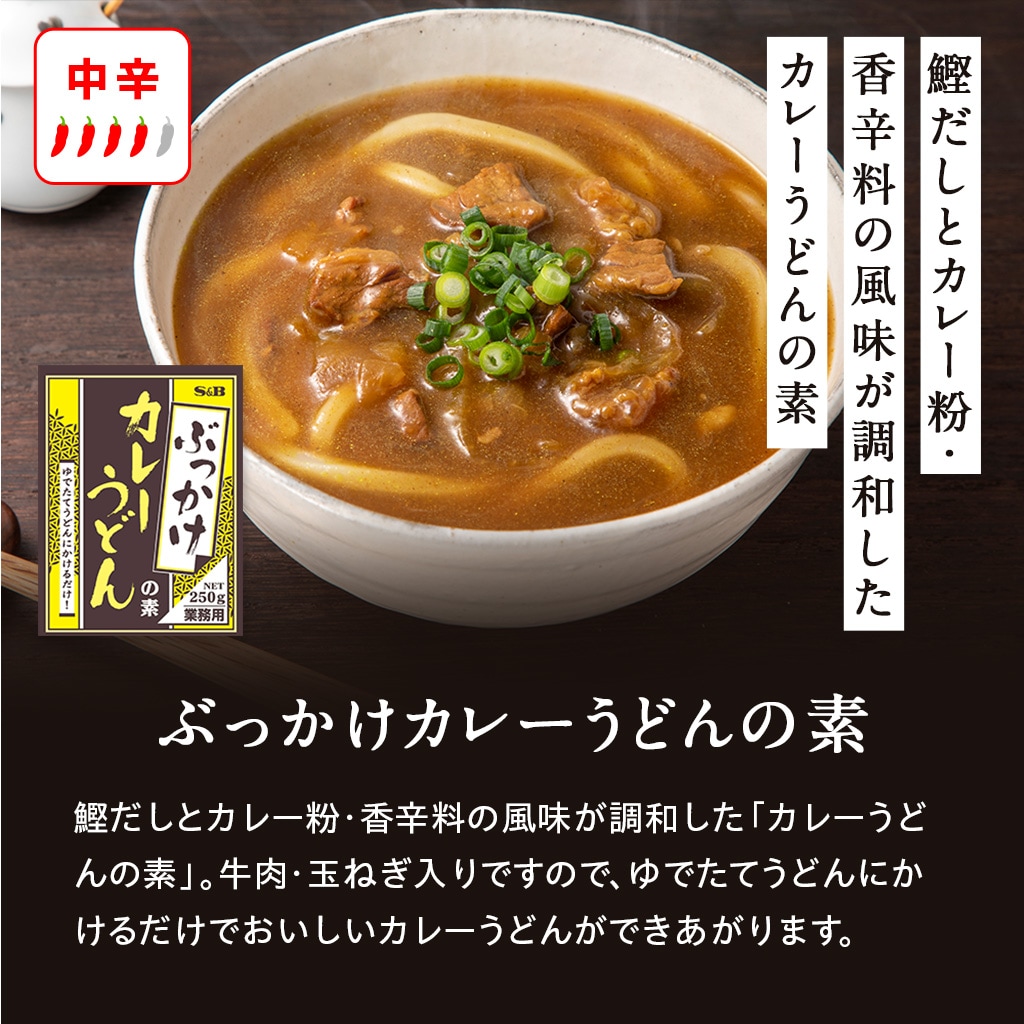 ビーフカレーレトルト５種類×２個定番レトルトアソートセット（送料無料）