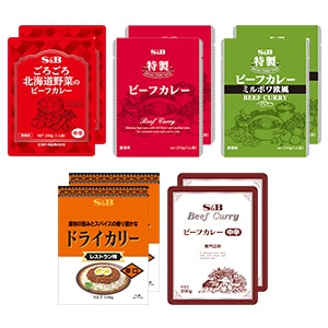 ビーフカレーレトルト５種類×２個バラエティアソートセット（送料無料）