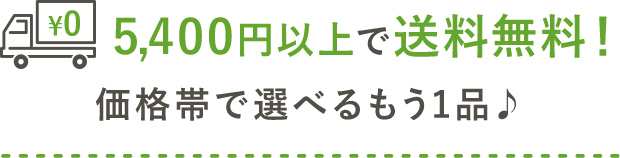 5,400円以上で送料無料！価格帯で選べるもう1品♪