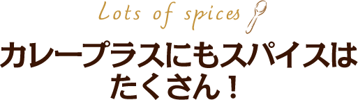 カレープラスにもスパイスはたくさん！