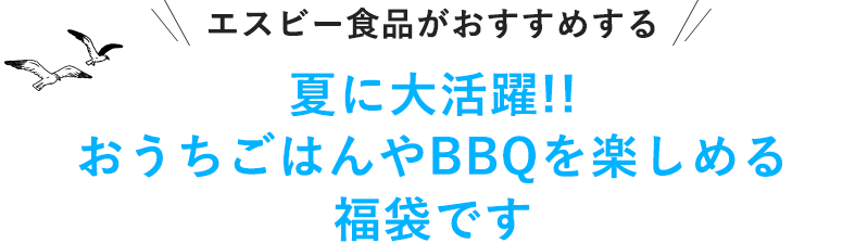 エスビー食品がおすすめする夏に大活躍!!おうちごはんやBBQを楽しめる福袋です