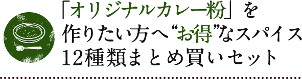 「オリジナルカレー粉」を作りたい方へ お得なスパイス12種類まとめ買いセット