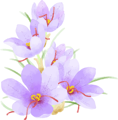 スパイスサプリサフラン14日分1袋 初回のみ 1袋 健康食品 エスビー食品公式通販 お届けサイト