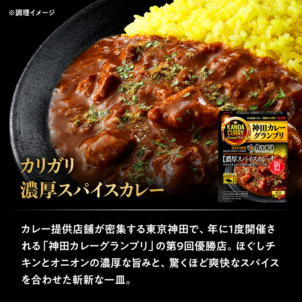 カリガリ 濃厚スパイスカレー