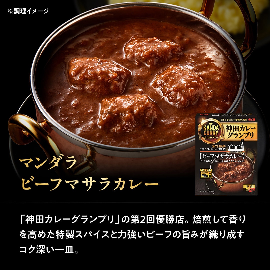 マンダラ ビーフマサラカレー