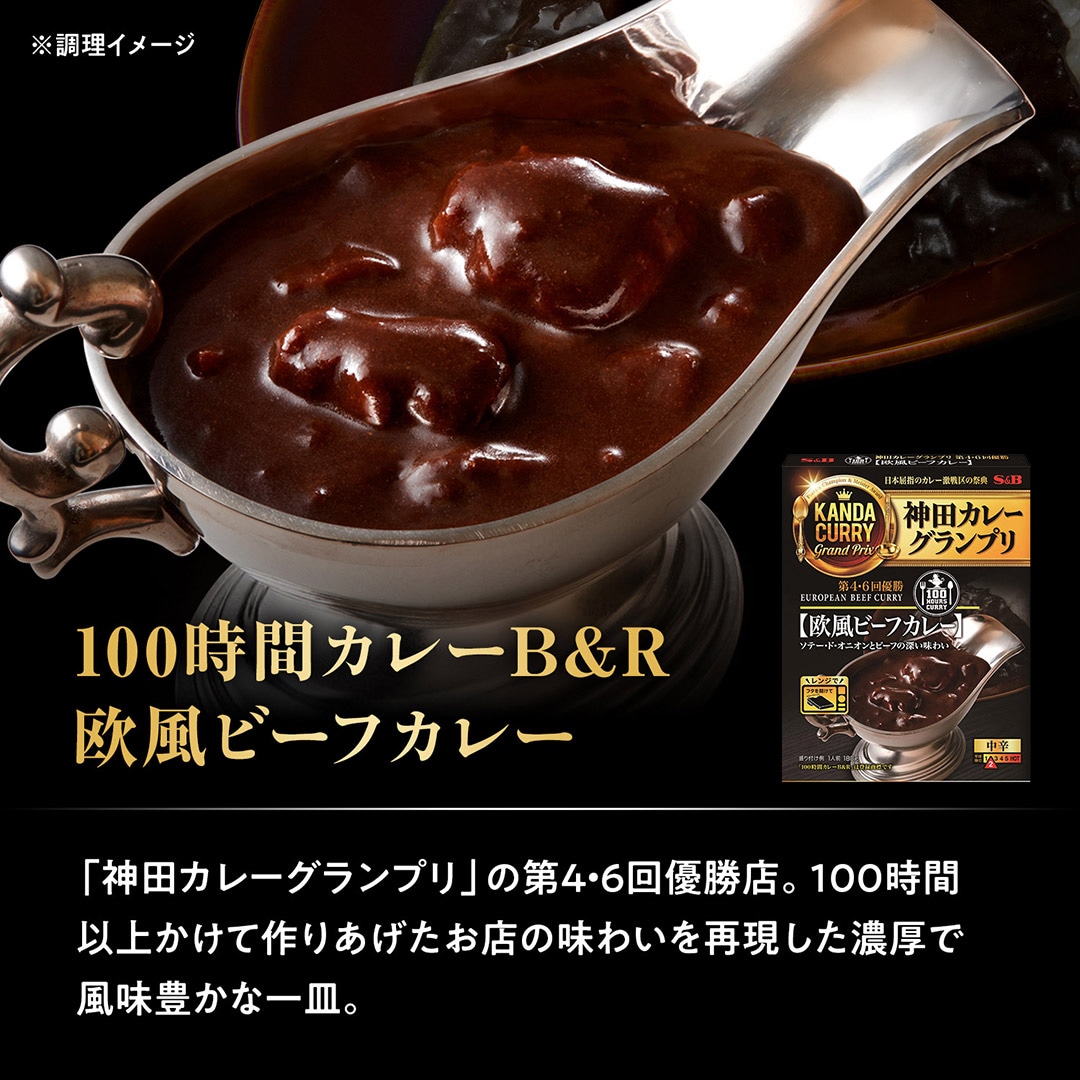 100時間カレーB&R 欧風ビーフカレー