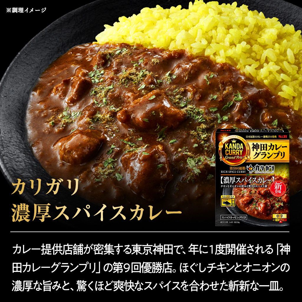 神田カレーグランプリ8種セット