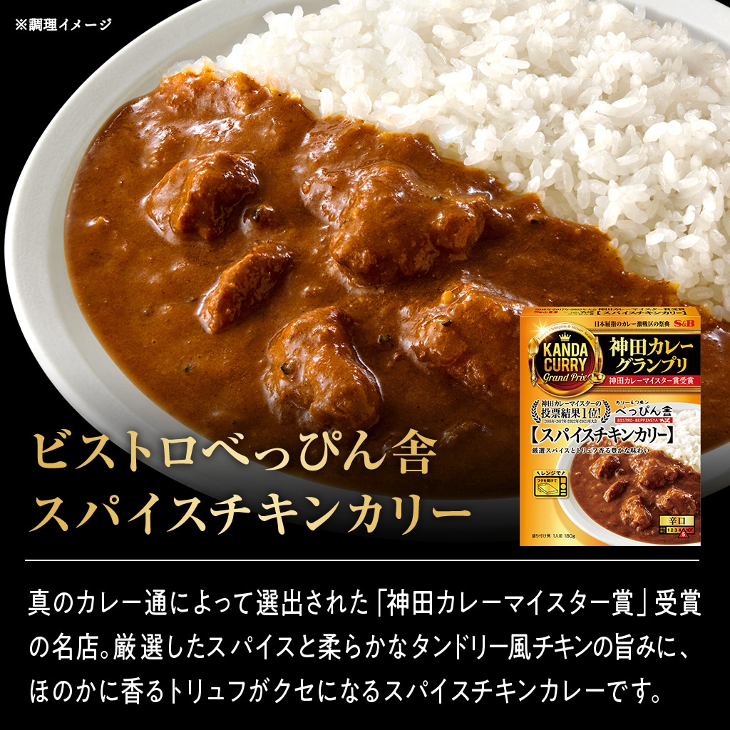 神田カレーグランプリ8種セット