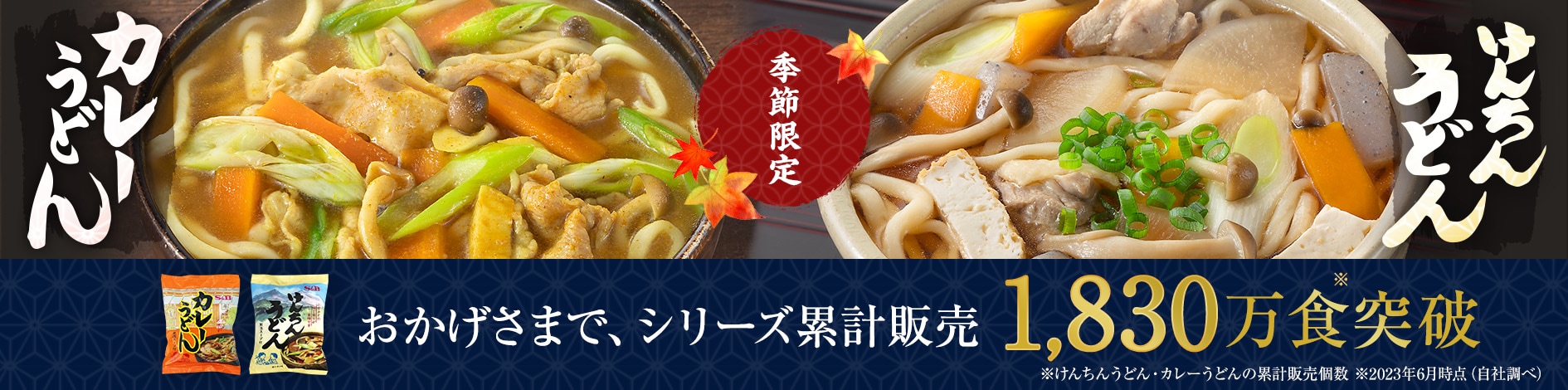 けんちんうどん・カレーうどん特集