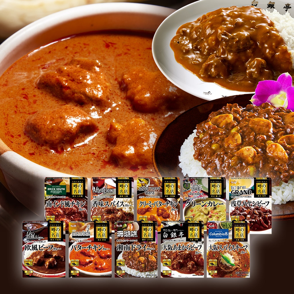 レトルトカレー噂の名店シリーズ10種類セット