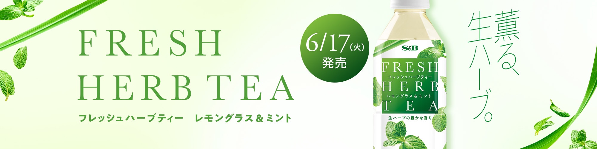 フレッシュハーブティー