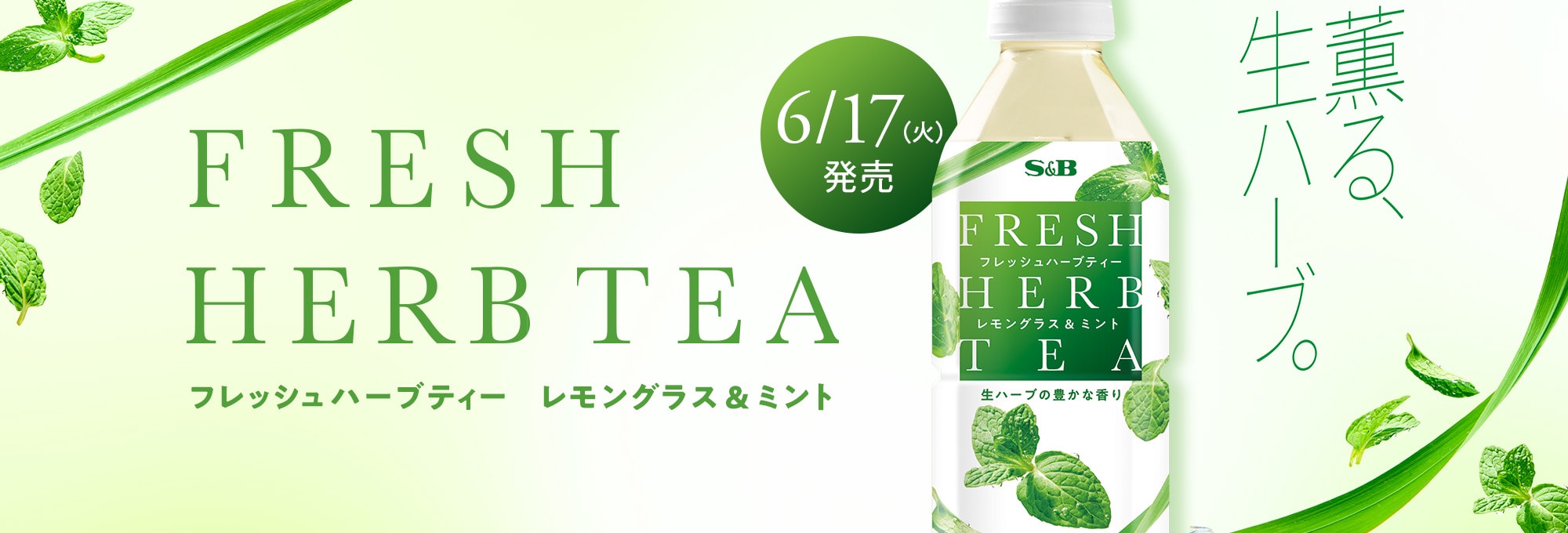 フレッシュハーブティー