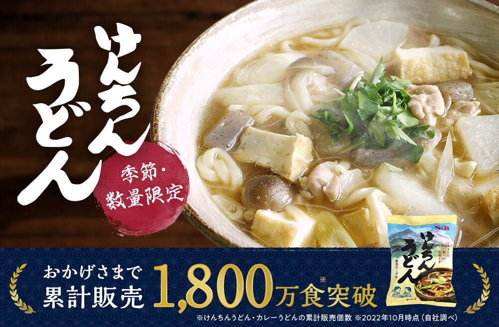 けんちんうどん