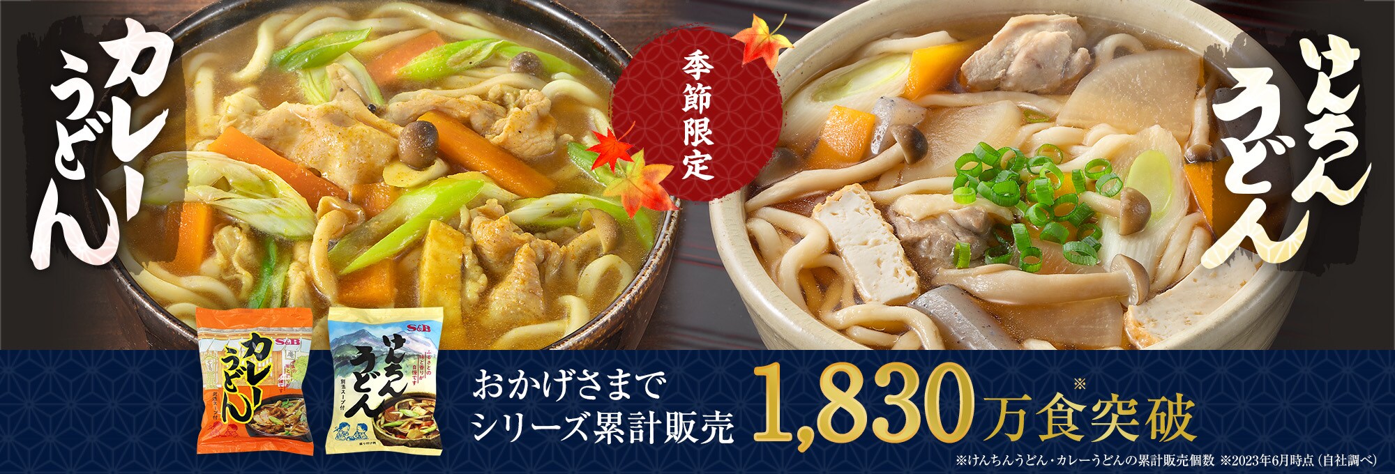 けんちんうどん・カレーうどん