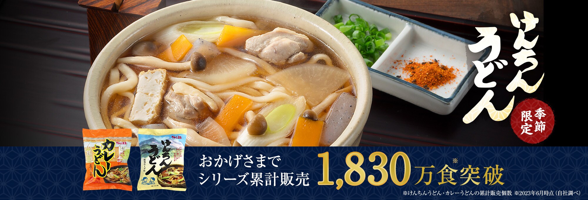 けんちんうどん