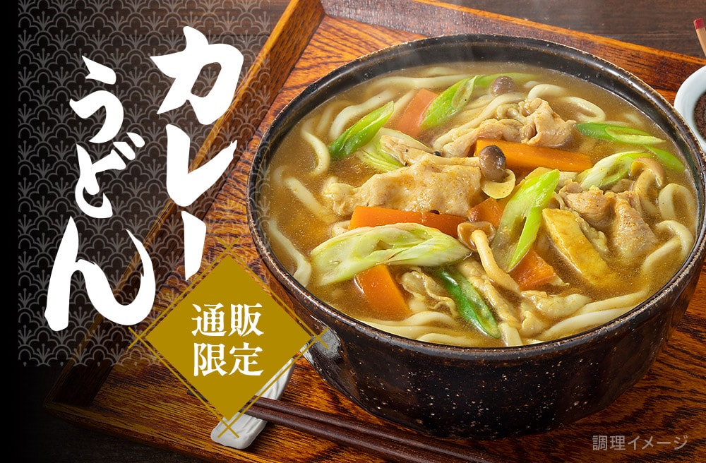 通販限定 カレーうどん