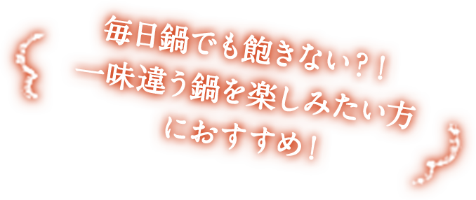 毎日鍋でも飽きない？！一味違う鍋を楽しみたい方におすすめ！