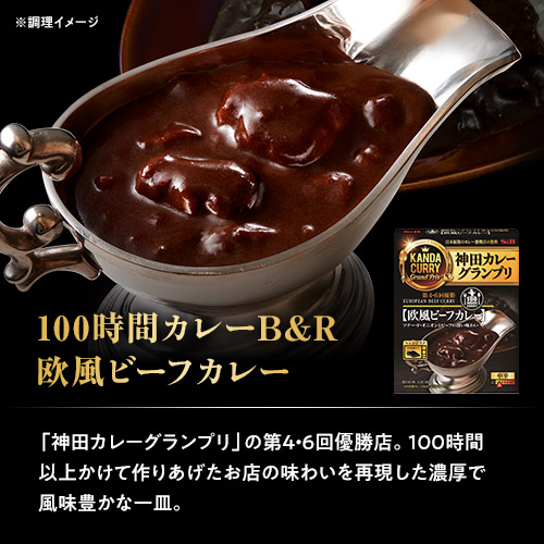 100時間カレーB&R 欧風ビーフカレー