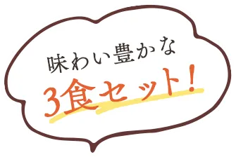 味わい豊かな3食セット！