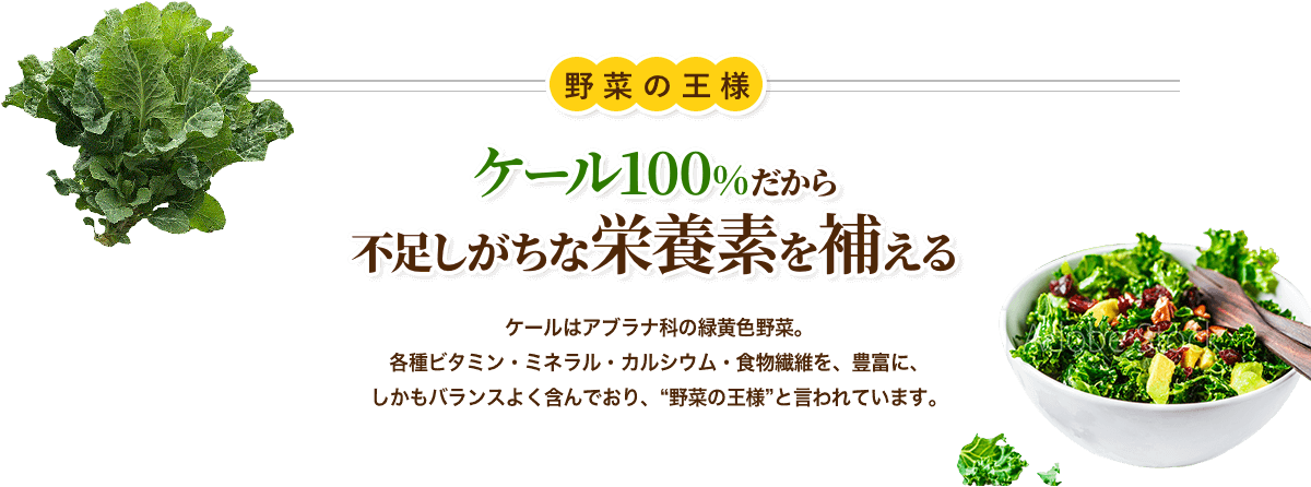 野菜の王様ケール100%だから不足しがちな栄養素を補える