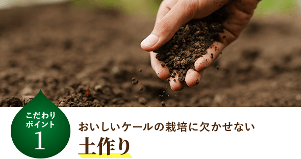おいしいケールの栽培に欠かせない 土作り