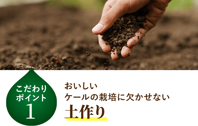 おいしいケールの栽培に欠かせない 土作り