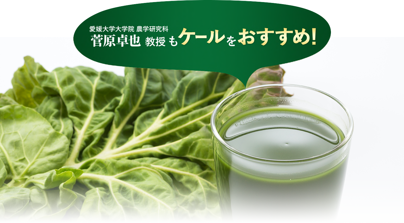 愛媛大学大学院 農学研究科 菅原卓也 教授もケールをおすすめ