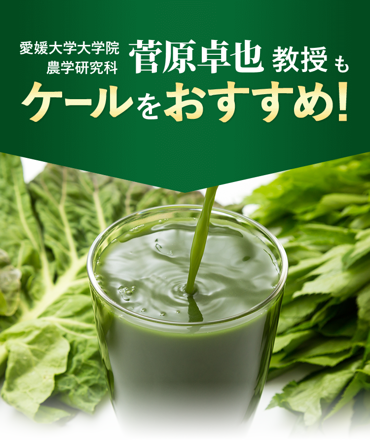 愛媛大学大学院 農学研究科 菅原卓也 教授もケールをおすすめ