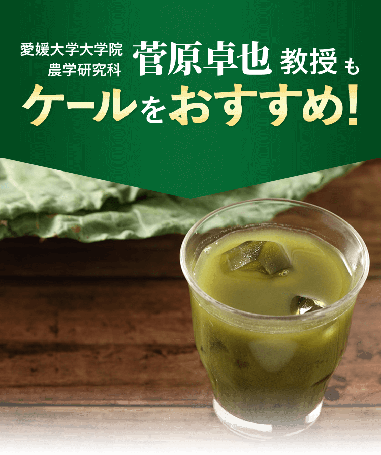 愛媛大学大学院 農学研究科 菅原卓也 教授もケールをおすすめ