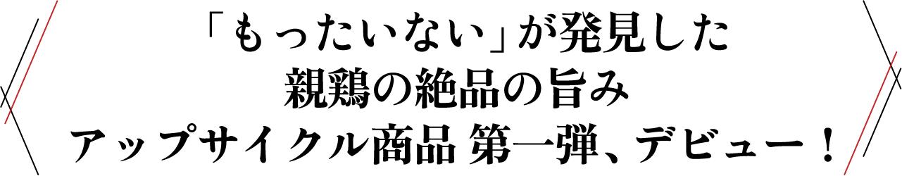 「もったいない」が発見した親鶏の絶品の旨み アップサイクル商品 第一弾、デビュー！