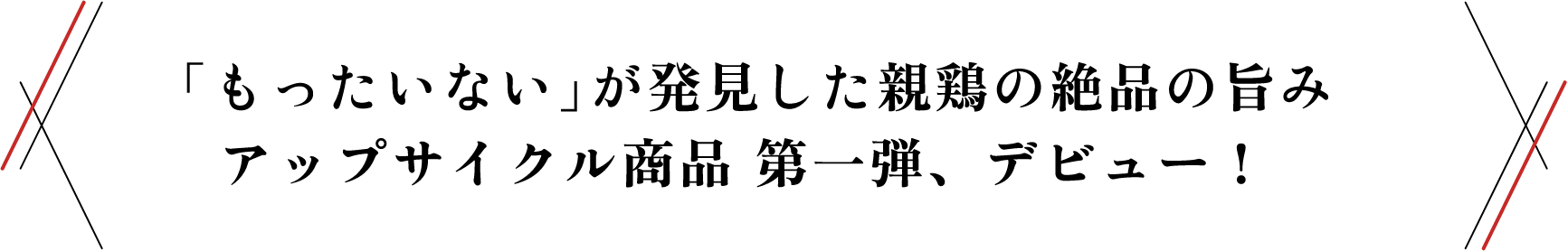 「もったいない」が発見した親鶏の絶品の旨み アップサイクル商品 第一弾、デビュー！