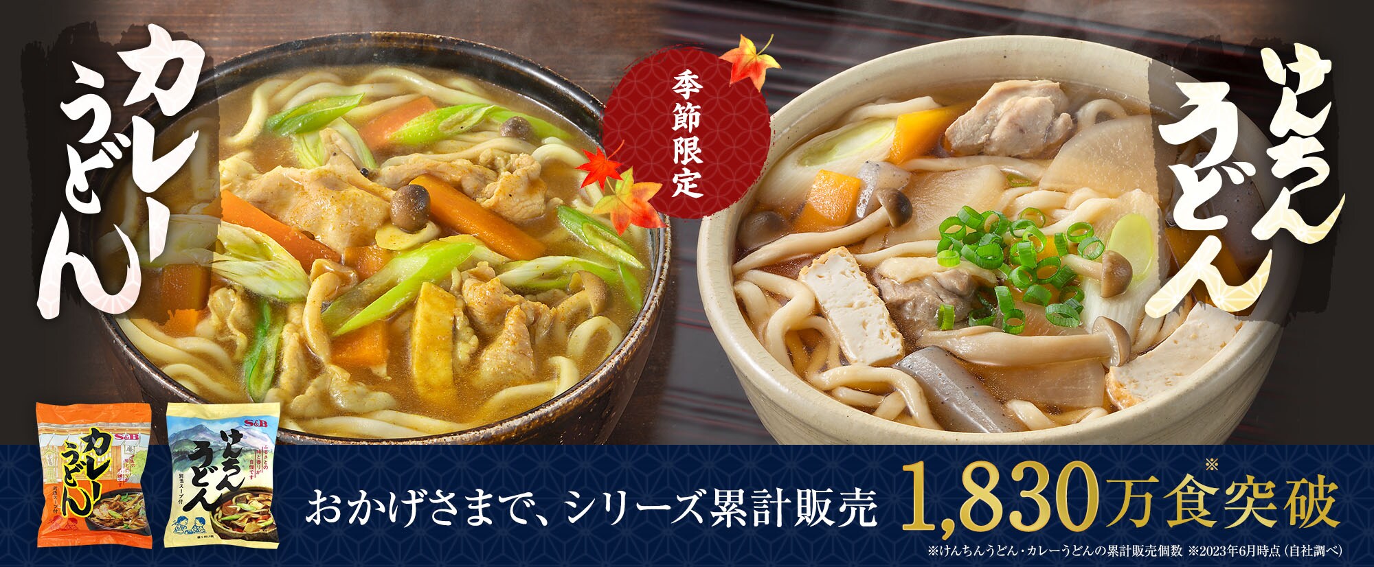 けんちんうどん&カレーうどんについて詳しくはこちら