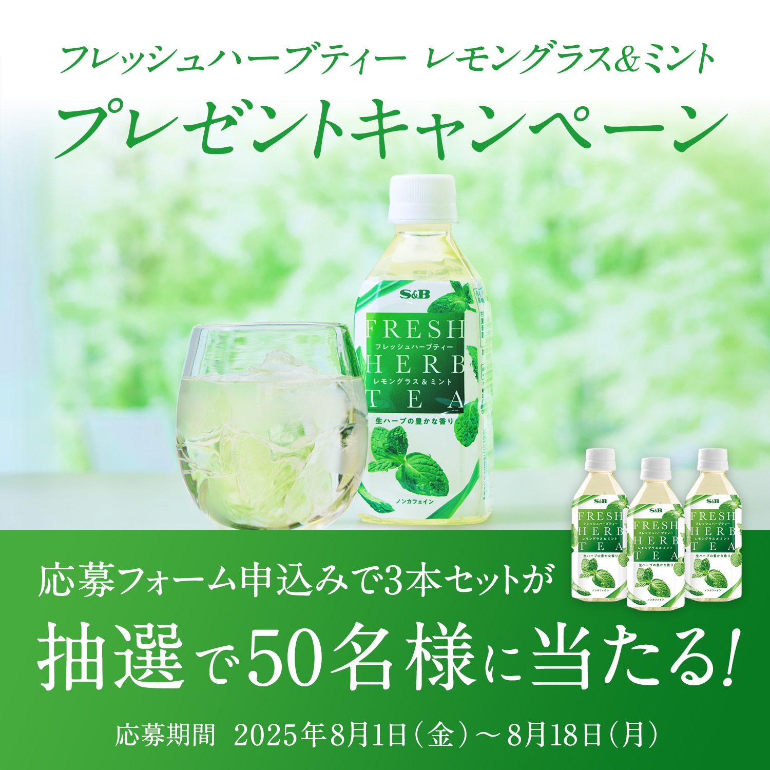 フレッシュハーブティー プレゼントキャンペーン