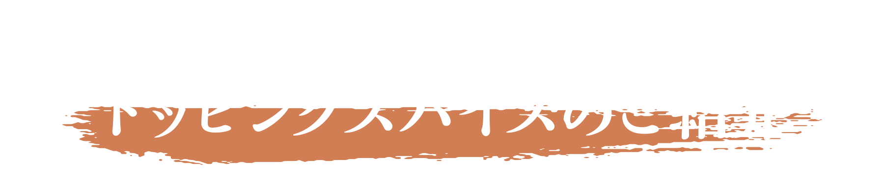 おすすめの薬味