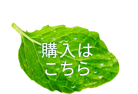 購入はこちら