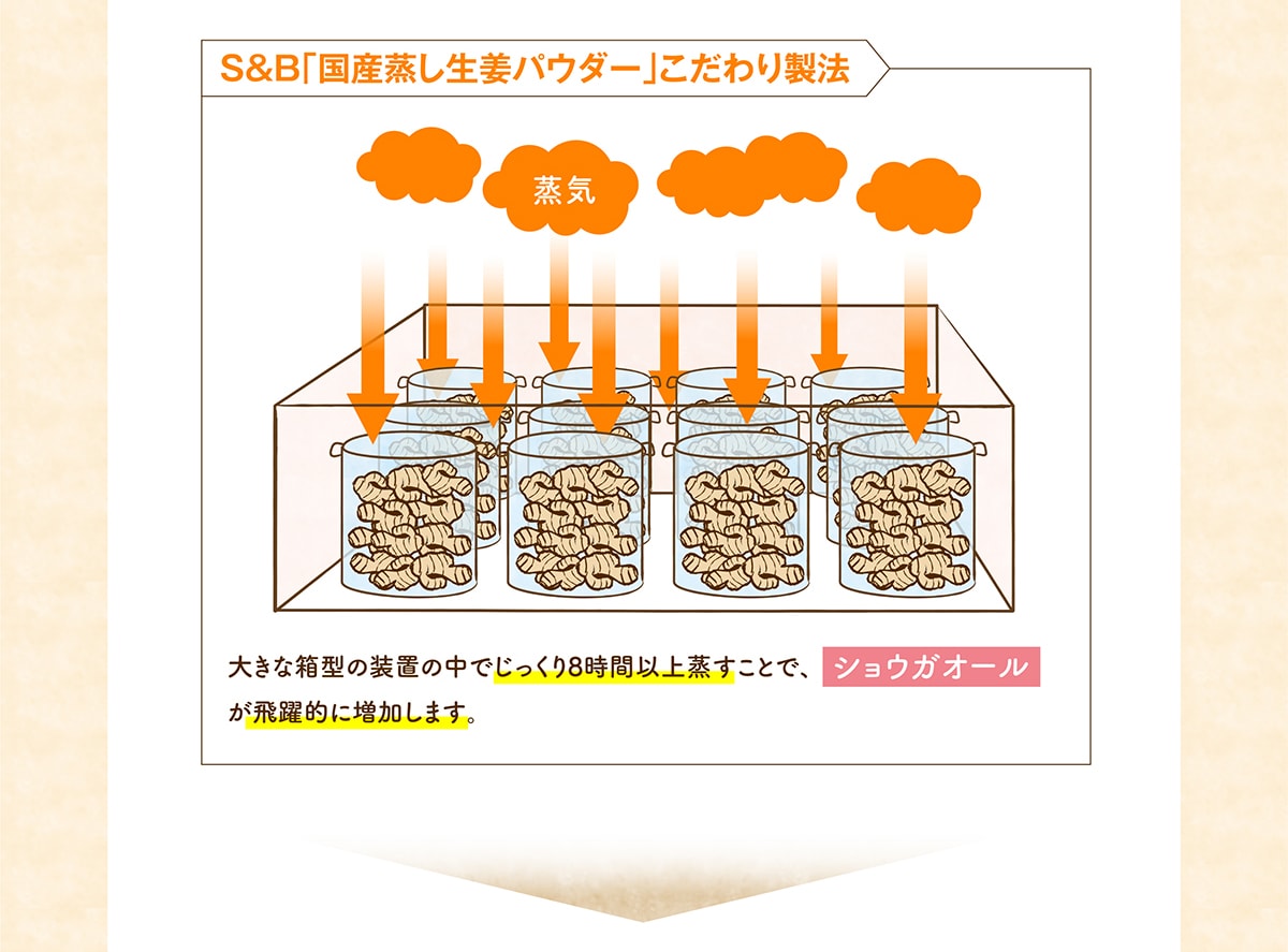 S&B「国産蒸し生姜パウダー」こだわり製法 大きな箱型の装置の中でじっくり8時間以上蒸すことで、が飛躍的に増加します。