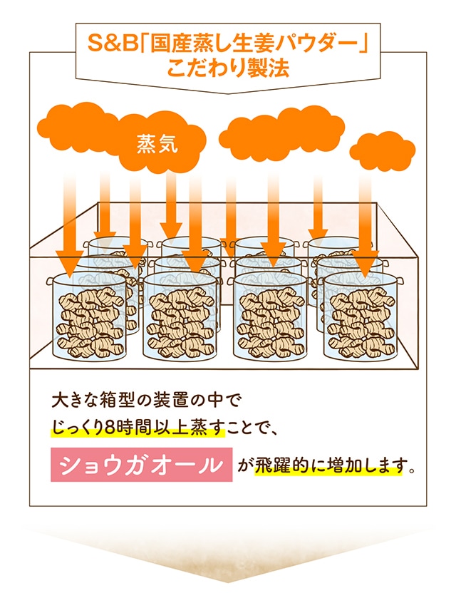 S&B「国産蒸し生姜パウダー」こだわり製法 大きな箱型の装置の中でじっくり8時間以上蒸すことで、が飛躍的に増加します。