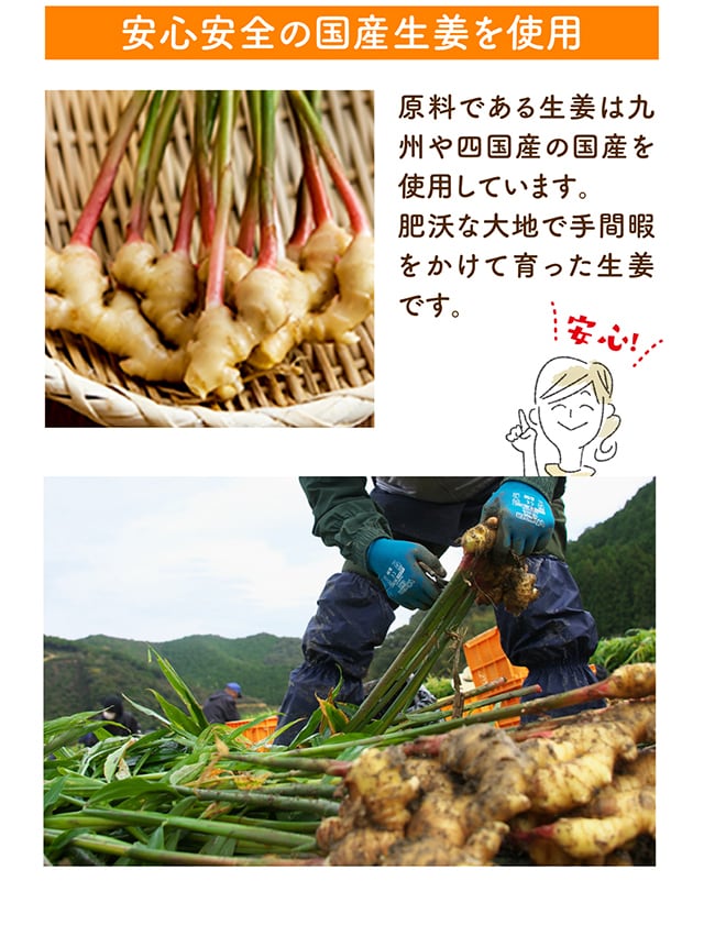 安心安全の国産生姜を使用 原料である生姜は九州や四国産の国産を使用しています。肥沃な大地で手間暇をかけて育った生姜です。