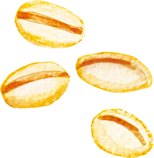 もち麦
